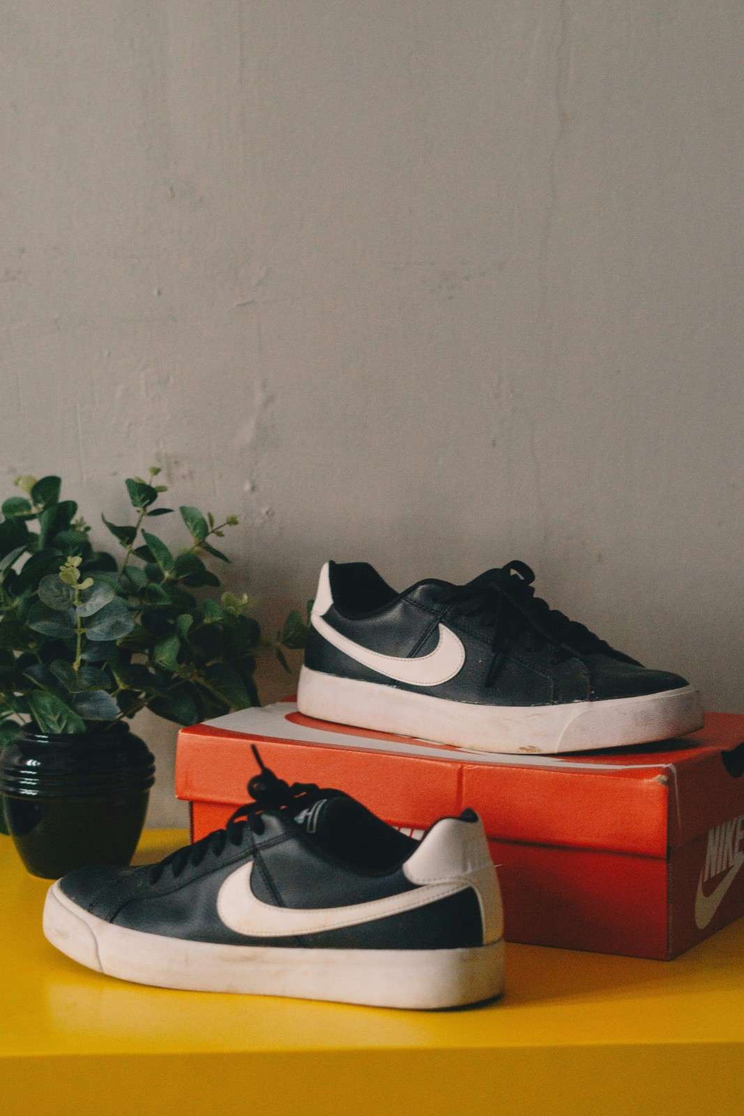 Nike Court Majestic