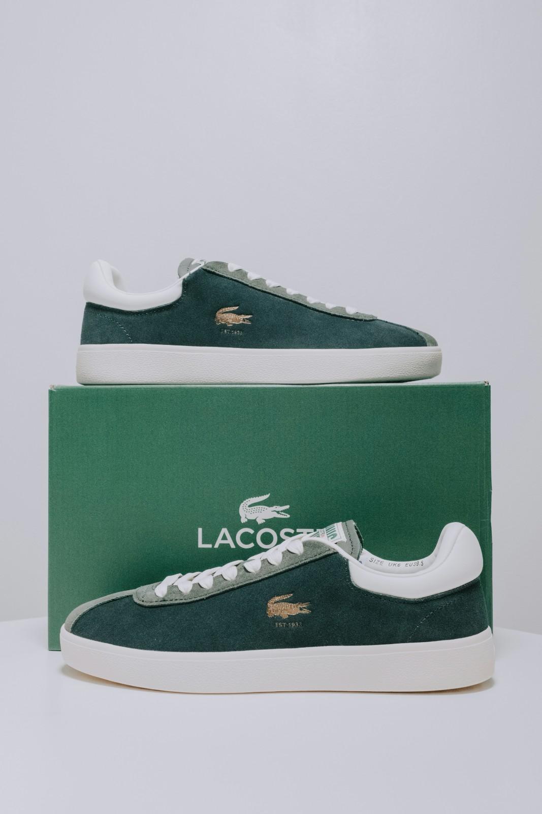 Lacoste